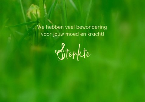 opgeven - geen denken aan 3