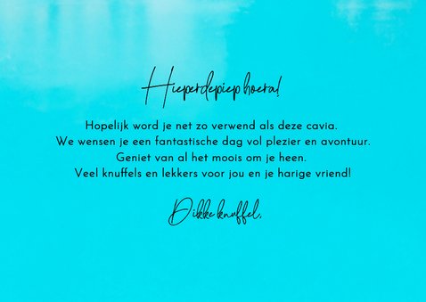Originele verjaardagskaart met cavia kroon 3