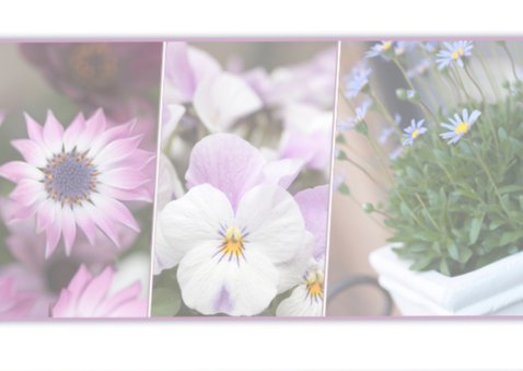 paarse bloemencollage 2