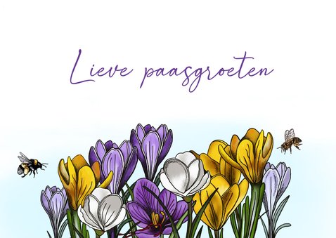 Paaskaart crocussen lente 3