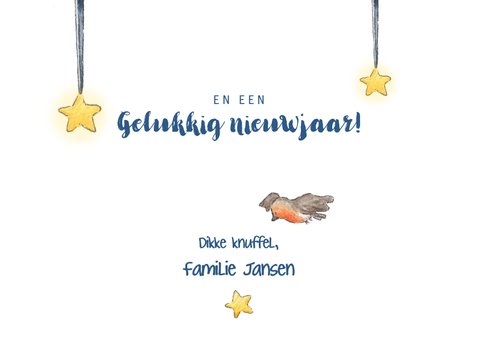 Roodborstjes op een tak kerstkaart 3