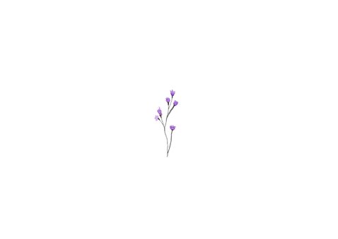 Rouw bedankkaart bloemen lavendel paars waterverf Achterkant