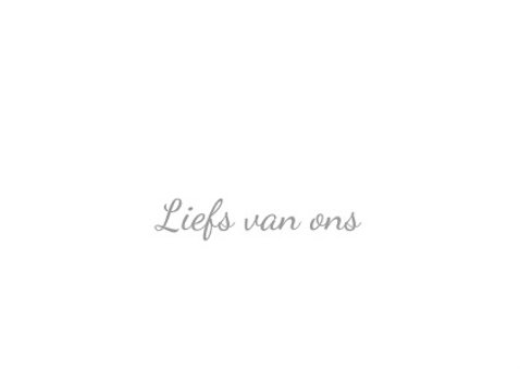 schotse hooglander kracht ME 3