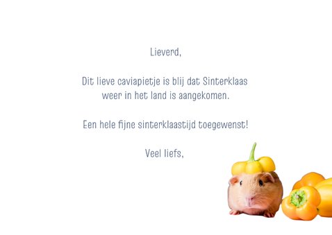 Sinterklaaskaart cavia met pietenmuts van paprika 3