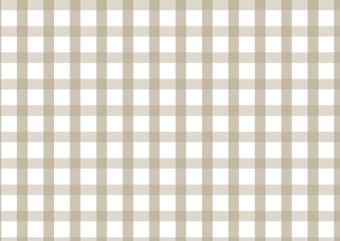 Sinterklaaskaart Sint met ruitjes beige - OT 2