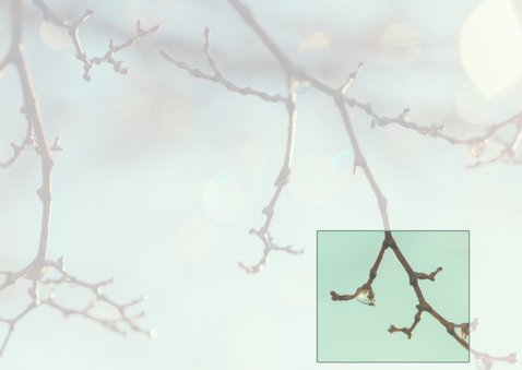 Sterkte kaarten tak in zon MM 3