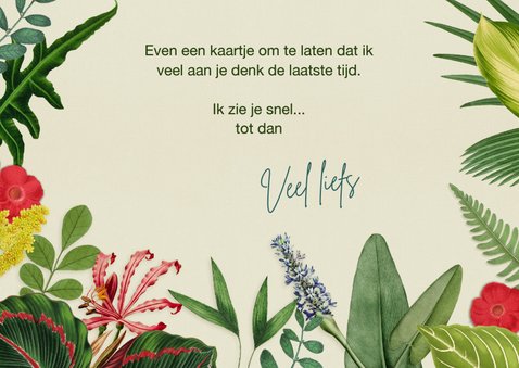 Sterkte thinking of you kaart planten en bloemencollage 3