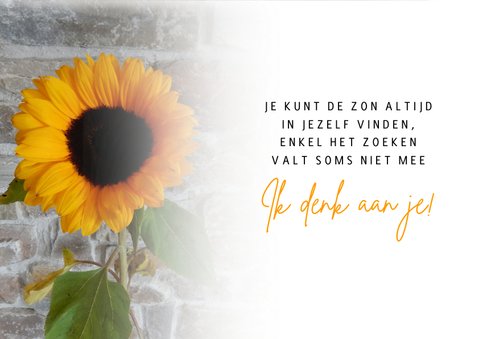 Sterkte zonnebloem natuursteen 3