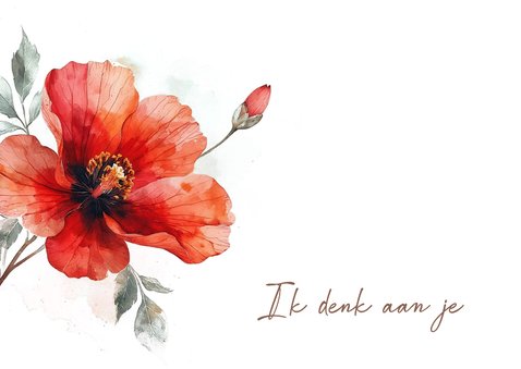 Sterktekaart helleborus in bloei 2