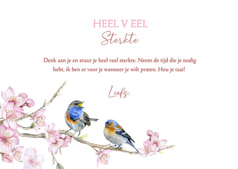 Sterktekaart vogeltjes voorjaar 3