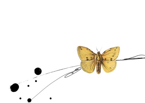 Sterktekaart yellow butterfly 2