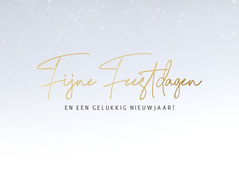 Stijlvolle kerstkaart foto sneeuwlandschap Fijne Feestdagen 2