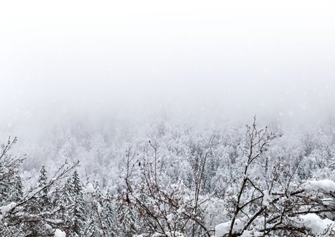 Stijlvolle kerstkaart foto sneeuwlandschap Fijne Feestdagen Achterkant