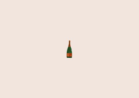 Stijlvolle nieuwjaarskaart met foto en champagneflessen Achterkant