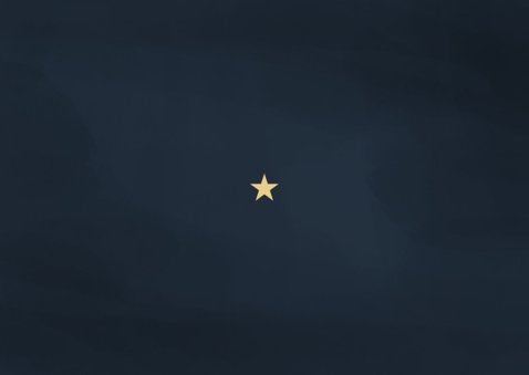 Stijlvolle zakelijke kerstkaart blauw bedankt voor je inzet Achterkant