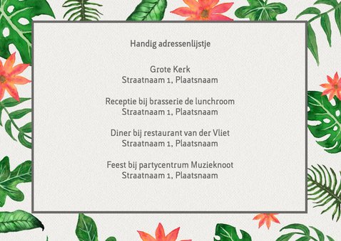 Tropical tijdlijn - DH 2