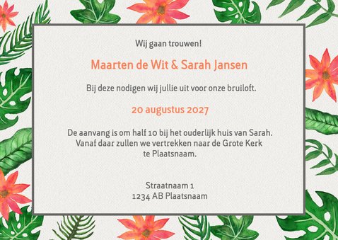 Tropical tijdlijn - DH 3