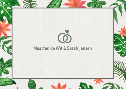Tropical tijdlijn groen - DH 2