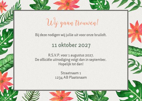 Tropical tijdlijn groen - DH 3