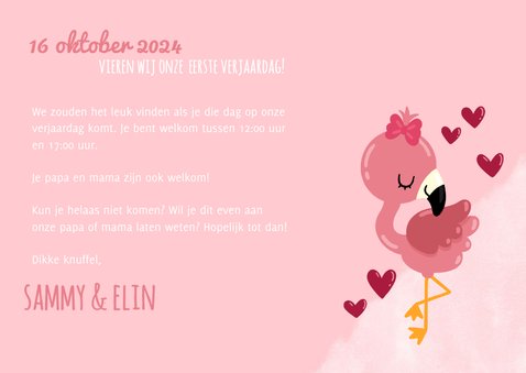 Uitnodiging kinderfeestje voor een tweeling met flamingo 3