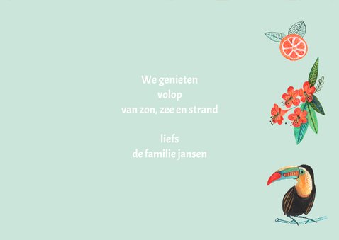 Vakantie kaart met tropische details 3