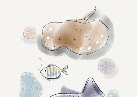 Vakantiekaart fish 2