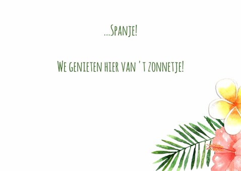 Vakantiekaart Flamingo- WW 3