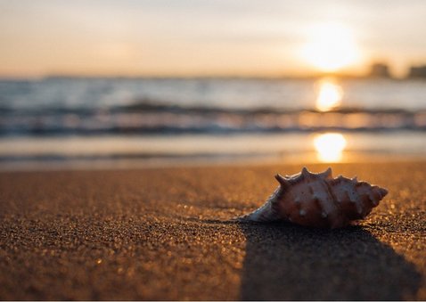 Vakantiekaart met ruimte voor 10 foto's 2