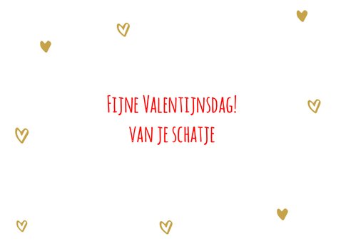 Valentijnsdagkaart tot de maan en terug 3