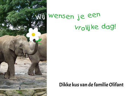 Verjaardag Felici-Fant 3