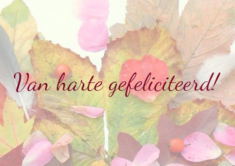 Verjaardag Herfst schatten IW 2