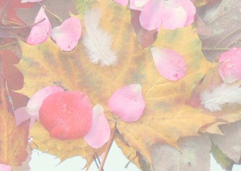 Verjaardag Herfst schatten IW 3