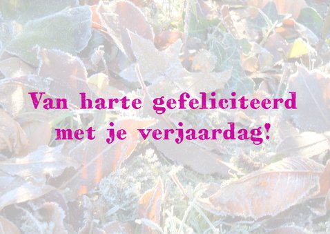 Verjaardag winterse rozen IW 2