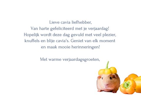 verjaardagskaart cavia met feestmuts van paprika 3