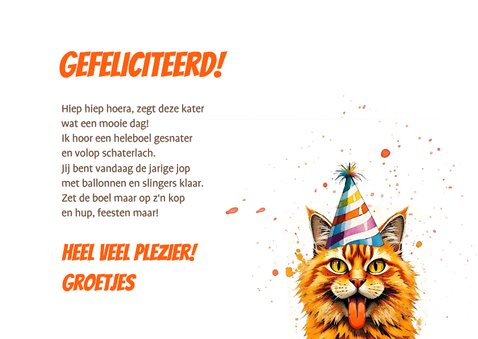 Verjaardagskaart feest met kater 3