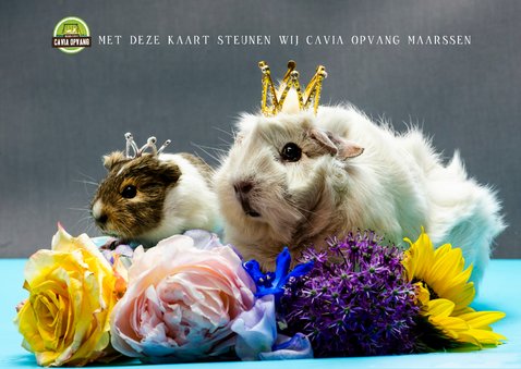 Verjaardagskaart, feestelijke cavia en een zee van bloemen. 2
