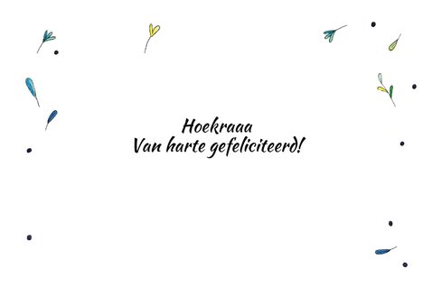 Verjaardagskaart felicitatie met mooie illustratie 2