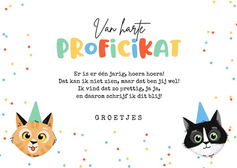 Verjaardagskaart grappig katten poezen confetti proficikat 3