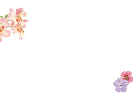 Verjaardagskaart met kitten Gijsje tussen de bloemen 2