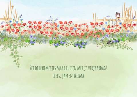 Verjaardagskaart met rode klaprozen en koeien 3