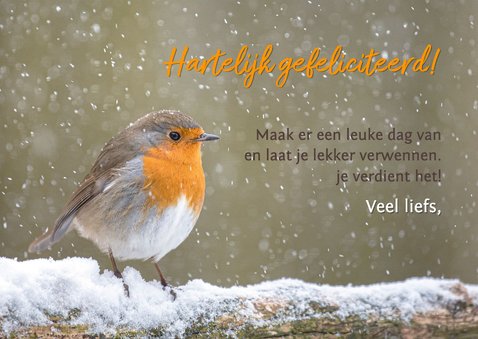 Verjaardagskaart roodborst in stuifsneeuw 3