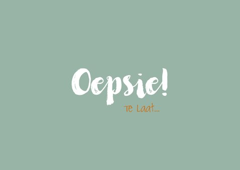 Verjaardagskaart te laat 'Oepsie!' slakje met feesthoedje 2