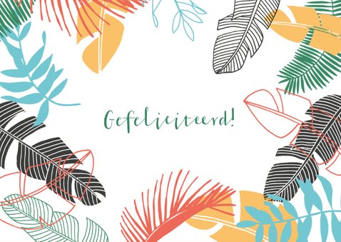 Verjaardagskaart Tropic 2