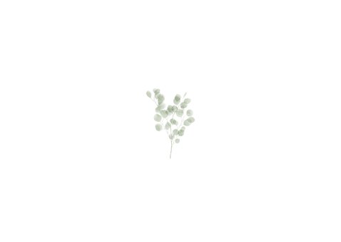 Verlovingskaart waterverf eucalyptus gouden 'we are engaged' Achterkant