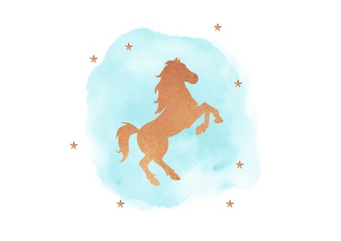Vormsel paard uitnodiging feestje foto sterren goud verf 2