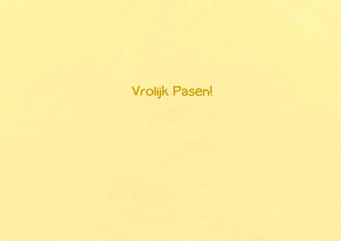 Vrolijk geel paaskuikentje 3