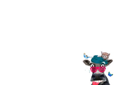 Vrolijke dieren uitnodiging 3