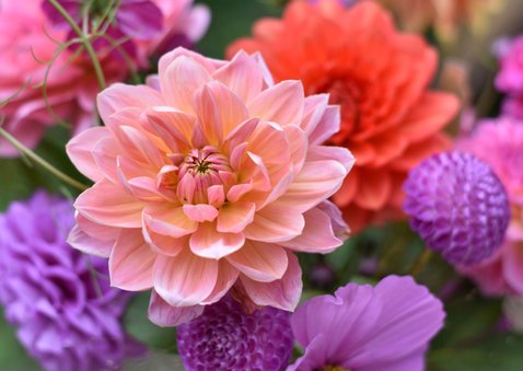 Vrolijke stijlvolle beterschapskaart met fleurige bloemen 2