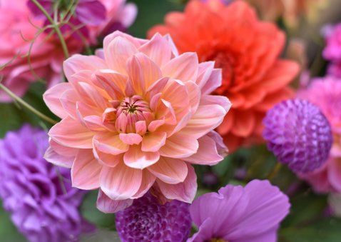 Vrolijke stijlvolle beterschapskaart met fleurige bloemen 2