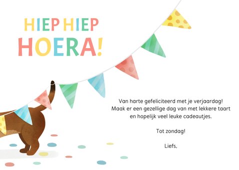 Vrolijke verjaardagskaart met een teckel en ballonnen 3